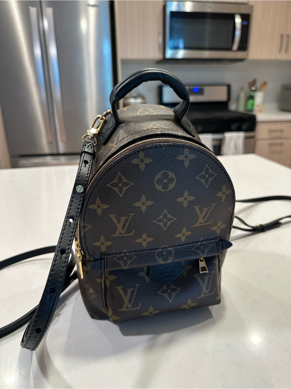 Louis Vuitton Monogram Palm Springs Mini Backpack with Black Scarf - Picture 2 of 6